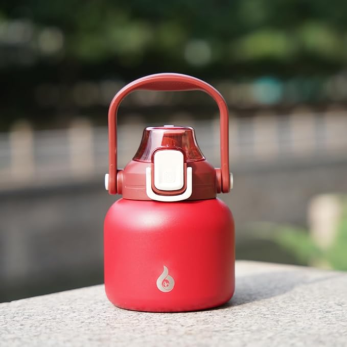 BJPKPK Insulated Water Bottles with Straw, 20 oz Cute Water Bottles with Handle, BPA Free Stainless Steel Metal Jug, Easy Carry Flasks for Men & Women, Red