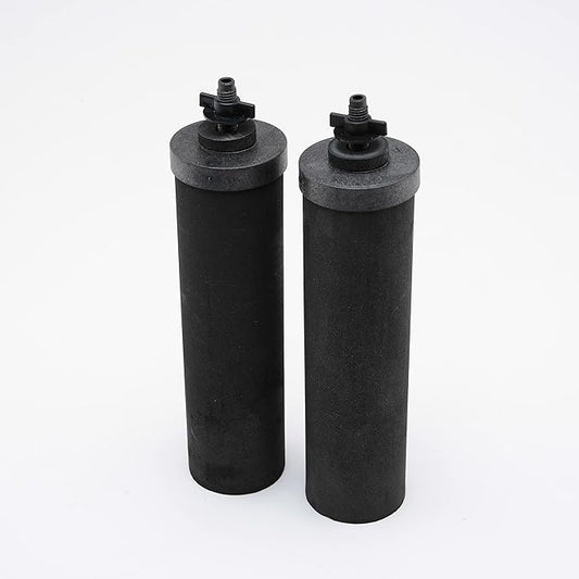 Set of 2 Berkey Authentic Black Berkey Elements (BB9-2) and 2 PF-2 Fluoride Reduction Elements - Combo Pack