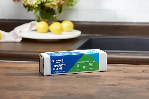 Pentair OMNIFilter Mail-in Home Water Test Kit