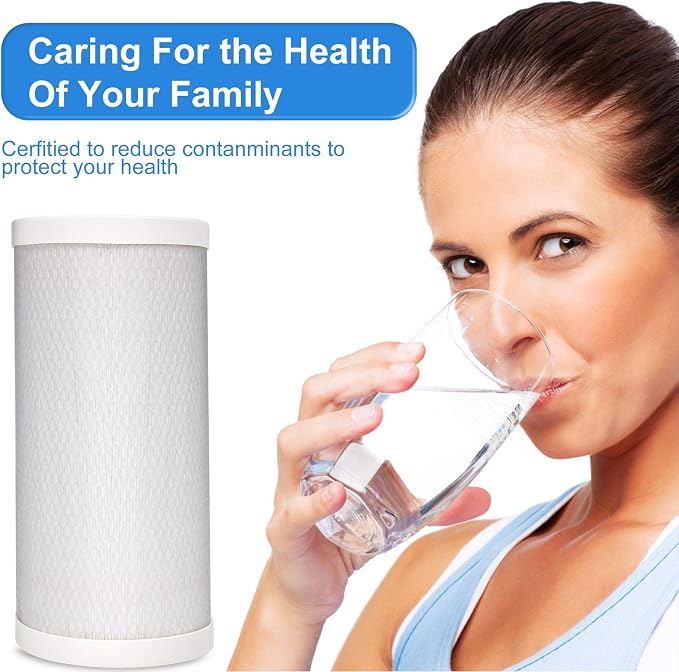 5 Micron 4.5" x 10" Pleated High-density Carbon Block Water Filter Cartridge HSR-03C for Hansing System HSR-03