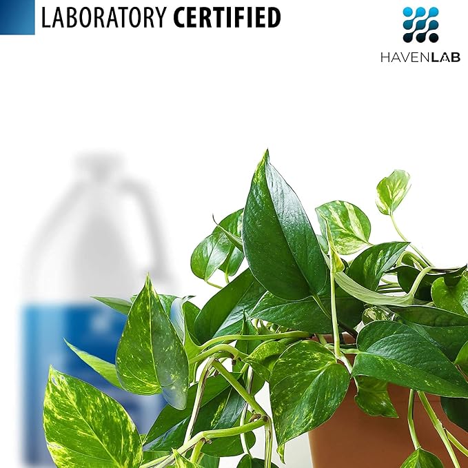 Deionized Water - Demineralized (1 Gallon) Purification Softener for Washing & Cleaning, Automotive Battery Cooling, Laboratory Equipment, Watering Plants, Agua Desionizada Desmineralizada