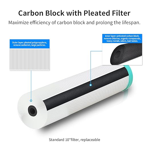 FS-TFC RV Water Filter System Reduces Bad Taste, Odors, Chlorine, Sediment for RVs, Gardening, Farming, Pets and Marines, Drinking & Washing Filter