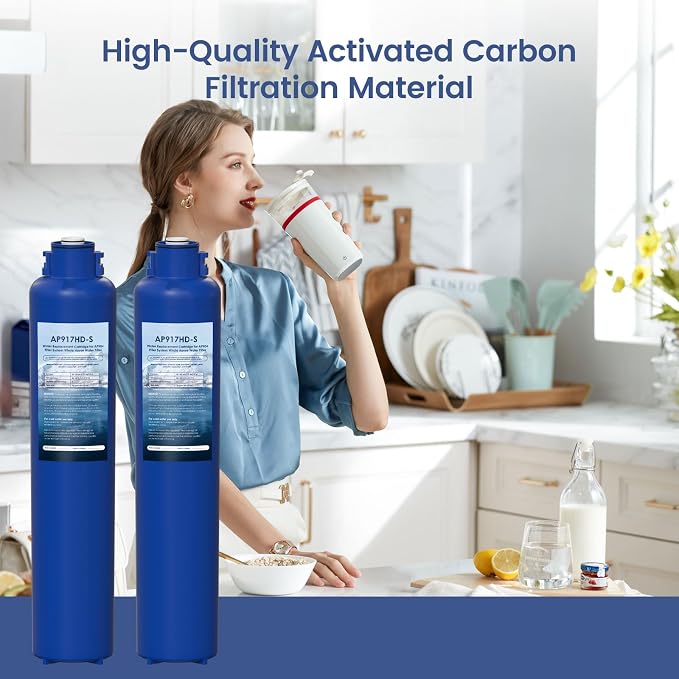 AP917HD-S AP904 Whole House Sanitary Quick Change Replacement Water Filter Compatible with 3M Aqua-Pure AP904 System, 100,000 Gallons 2 Pack