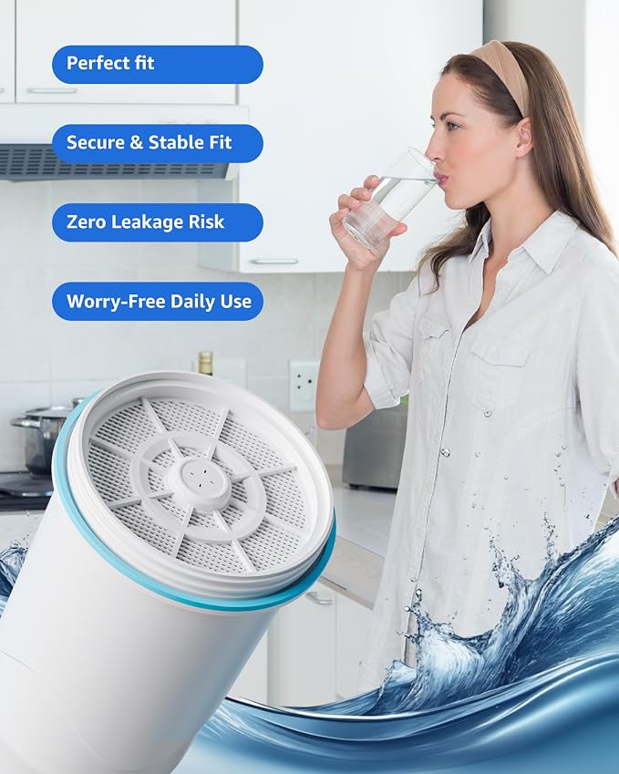 Compatible with Zero Pitcher and Dispenser ZR-001, 4 Pack | Compatible with Zero Pitcher and Dispenser ZR-001 ZR-004 ZP-006 ZR-017, 0 TDS, Reduce Lead, Mercury, Chlorine and Contaminant