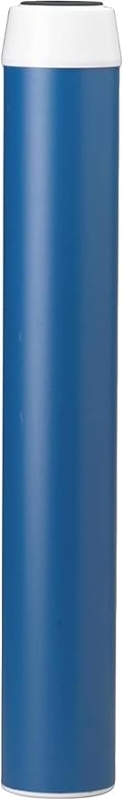 Pentair Pentek GAC-20 Carbon Water Filter, 20-Inch, Whole House Granul ...