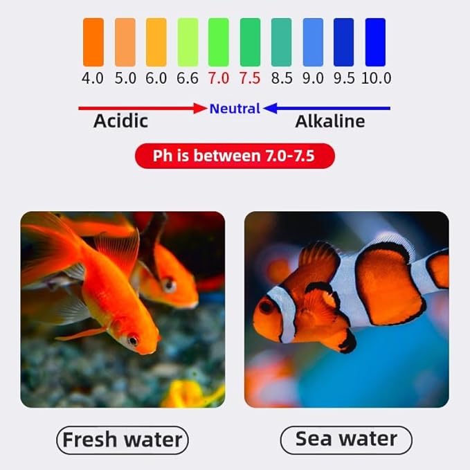 bio Balls for Aquarium Filter Media Crushed Coral for Freshwater Aquarium Ceramic Rings for Fish Tank Filter Media Biological 12 in 1 Accessories (2.2, Pounds)