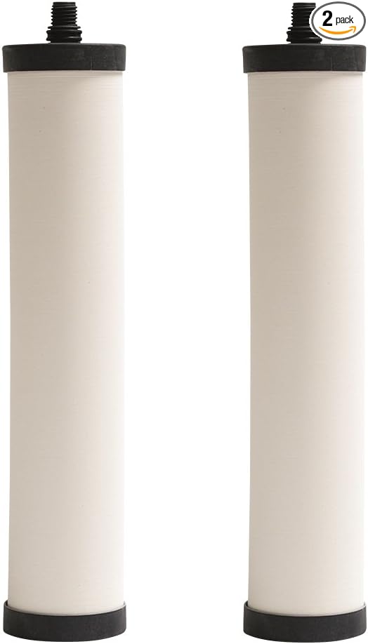 Franke FRC06-2PK Undersink Water Filtration Filter for FRCNSTR, Chlorine, 2-Pack