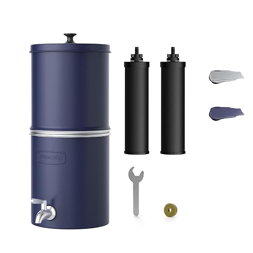 Waterdrop TK-AP Gravity Water Filter System, NSF/ANSI 42&372 Standard, Blue | Reduces Lead and Chlorine, Stainless Steel Water System with 2 Carbon Filters for Home, Emergencies, 2.25G