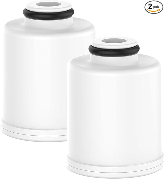 AQUA CREST FXSCH Shower Filter Replacement for GE® FXSCH, Shower Head Water Filter, 2 Pack