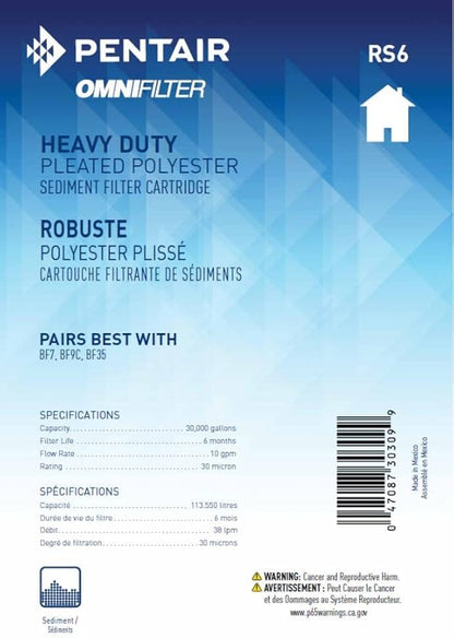 Pentair OMNIFilter RS6 Sediment Water Filter, 10" Whole House Heavy Duty Big Blue Pleated Replacement Cartridge, 10" x 4.5" (Pack of 2)