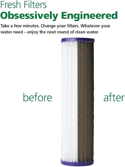 AO Smith 2.5"x10" 20 Micron Sediment Water Filter Replacement Cartridge - 2 Pack - For Whole House Filtration Systems - AO-WH-PRE-RP2