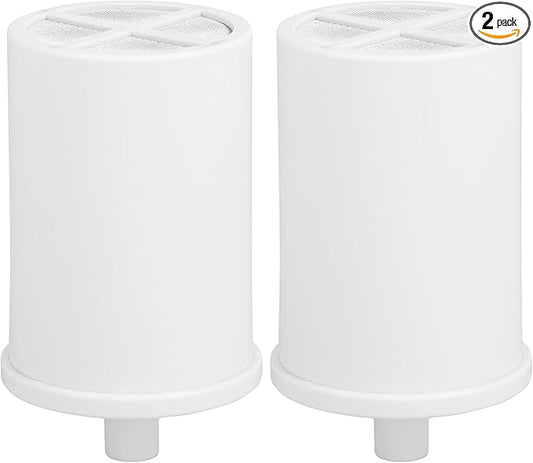 GE Shower Replacement Filter | Removes Chlorine | Replace Filter (FXSCT) Every 6 Months | FXSCT, 1 Count (Pack of 2)