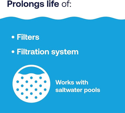 HTH 67227 Swimming Pool Care Filter Cleaner, Quickly and Effectively Cleans and Prolongs Life of Pool Filter, Improves Filtration Efficiency, Compatible with All Filter Types, 32oz