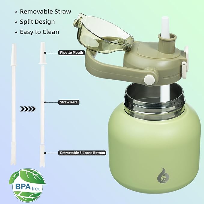 BJPKPK Insulated Water Bottles with Straw, 20 oz Cute Water Bottles with Handle, BPA Free Stainless Steel Metal Jug, Easy Carry Flasks for Men & Women, Light Green