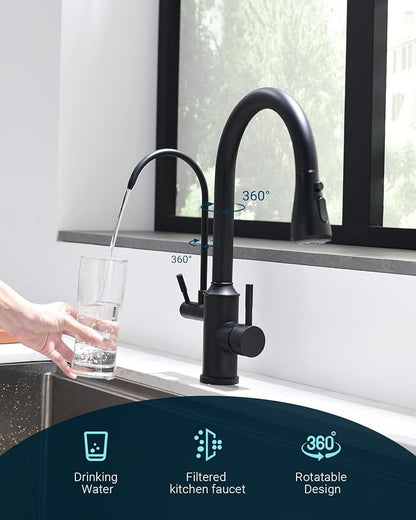 APPASO Kitchen Faucet with Water Filter, CUPC-Certified Hoses for Healthy Water, Matte Black 3 Way Sink Filter Faucets with Sprayer, 2 in 1 Faucet Black Matte (Without Filtration Device)