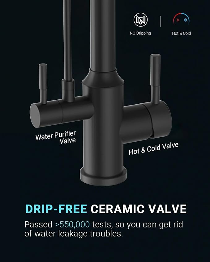 APPASO Kitchen Faucet with Water Filter, CUPC-Certified Hoses for Healthy Water, Matte Black 3 Way Sink Filter Faucets with Sprayer, 2 in 1 Faucet Black Matte (Without Filtration Device)