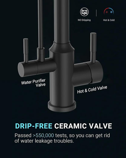 APPASO Kitchen Faucet with Water Filter, CUPC-Certified Hoses for Healthy Water, Matte Black 3 Way Sink Filter Faucets with Sprayer, 2 in 1 Faucet Black Matte (Without Filtration Device)