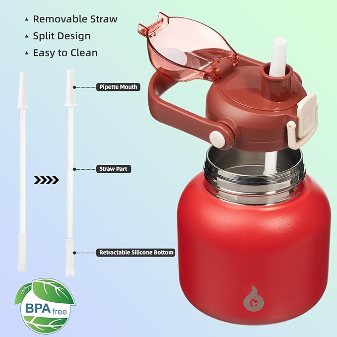 BJPKPK Insulated Water Bottles with Straw, 20 oz Cute Water Bottles with Handle, BPA Free Stainless Steel Metal Jug, Easy Carry Flasks for Men & Women, Red