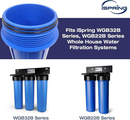 iSpring ORBX2 Replacement O-ring for Whole House Water Filtration Systems - Pack of 2