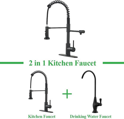 Drinking Water Faucet, Pull-Down Kitchen Sink Water Filtration Faucet, Bar Water Filter Faucet, Matte Black, Stainless Steel, PAKING PB1030
