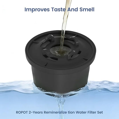 RO100ROPOT Remineralization Water Filters Replacement, Compatible with Bluevua RO100ROPOT and RO100ROPOT(UV) Systems, Alkaline for Reverse Osmosis Filter, Remineralize and Increase pH, Pack of 2