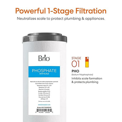 Brio Whole House Water Filter System w/Gauge & Fast-Flow Phosphate Anti-Scale Filter 4.5" x 20" | Removes Dirt, Improves Taste & Protects Home Appliances | 900 GPH | 100,000 Gallons or 12 Months