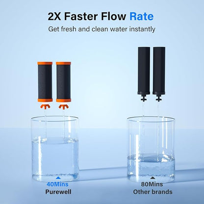 Purewell PF-3-FL Black 4-Stage Composite Carbon and Fluoride Reduction Filters, Compatible with Berlkey® Big+, ProOne® Big+ Gravity Water Filter Systems and Purewell Systems (2 Pack, K Series)