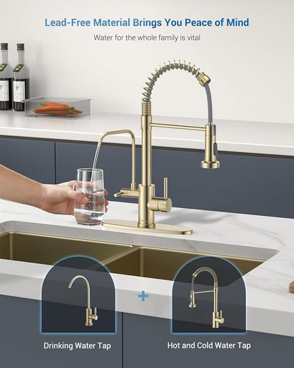 APPASO 3 Way Gold Kitchen Faucet with Water Filter | NSF/ANSI/CAN 372 & Lead-free 3 in 1 Kitchen Faucet for Farmhouse Laundry Camper RV Bar (Without Water Filtration Device)