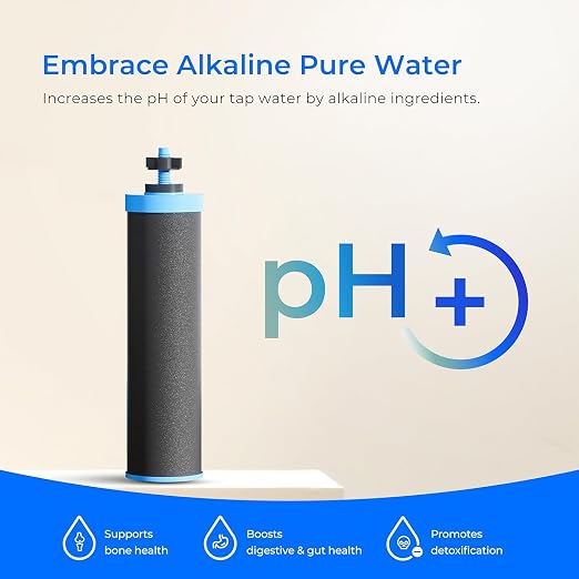 Waterdrop TK-AD-FS Alkaline Gravity Water Filter System, Increase PH | Reduces Fluoride and Chlorine, with 4 Filters and Metal Spigot for Home, Camping, Travel, Emergencies, 2.25G