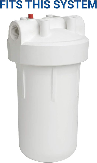 EcoPure EPW4F Premium FACT Universal Whole Home Water Filter - Innovative Product - Better Filtration and Longer Life Versus Most Whole Home Water Filters (Pack of 2)