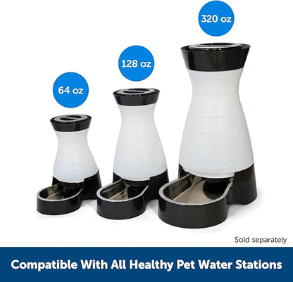 PetSafe Healthy Pet Water Filter, for Healthy Pet Water Station for Dogs and Cats (Pack of 6)