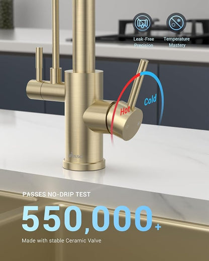 APPASO 3 Way Gold Kitchen Faucet with Water Filter | NSF/ANSI/CAN 372 & Lead-free 3 in 1 Kitchen Faucet for Farmhouse Laundry Camper RV Bar (Without Water Filtration Device)
