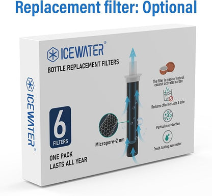 ICEWATER 40 oz Versatile Water Bottle, Regular & Filtered Straw with Filter | Reduces Chlorine Taste & odor, Removes Microplastics and Particulates, Ideal for Travel, Stainless Steel Insulated, BPA-Free