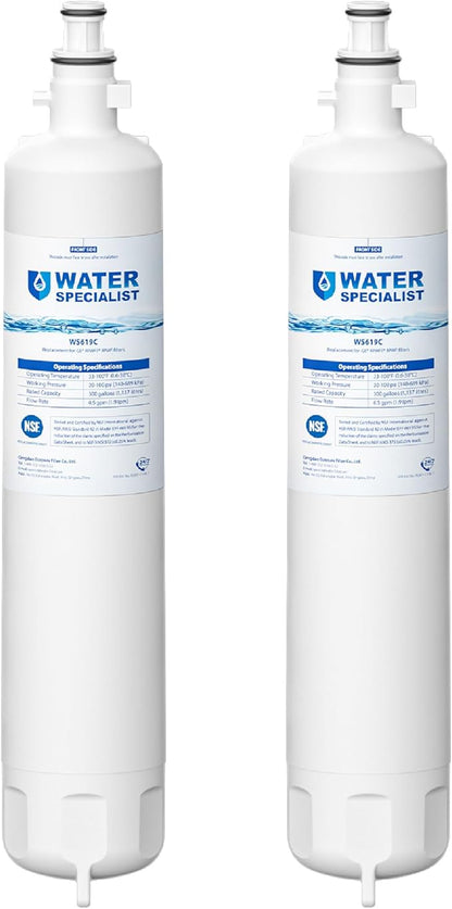 Waterspecialist WS619C Replacement for GE® RPWFE®, RPWF (Built-in CHIP) Refrigerator Water Filter, Compatible with GYS22GMNES, GYE22HSKSS, PYE22PELDS, GFE26GMKES, GFE28GYNFS, PFE28KYNFS, 2 Filters