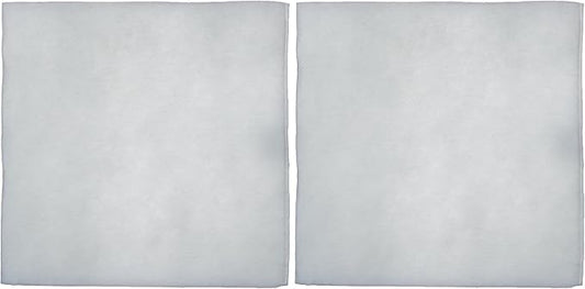 iPower 4 Inch Replacement Pre-Filter for 4" Carbon Filter (Pack of 2)