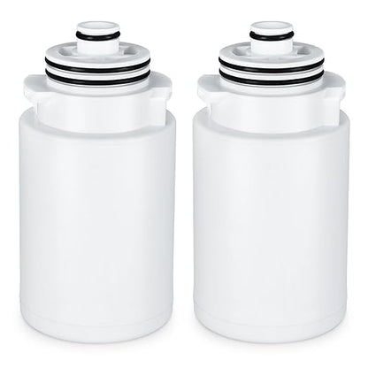 R24162-NA Showerhead Filter Replacement, Compatible with Kohler Aquifer Filtered Showerhead R24670 or Kohler Aquifer Shower Filter R24612, 2 Pack