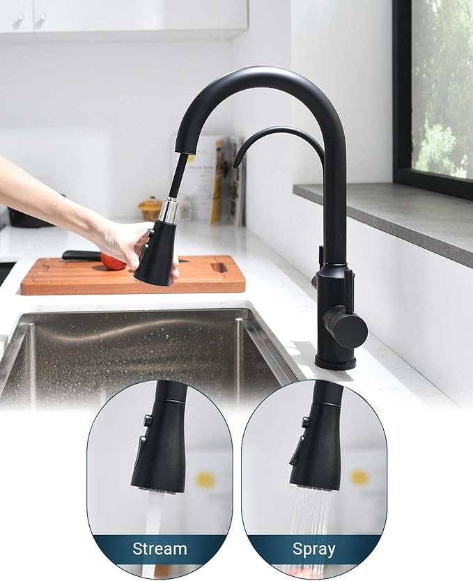 APPASO Kitchen Faucet with Water Filter, CUPC-Certified Hoses for Healthy Water, Matte Black 3 Way Sink Filter Faucets with Sprayer, 2 in 1 Faucet Black Matte (Without Filtration Device)