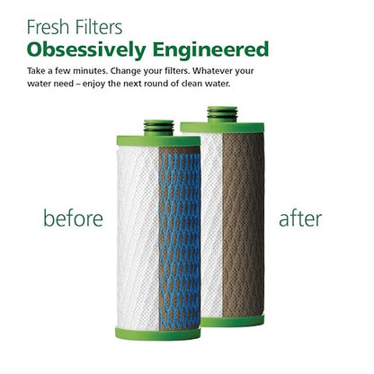 AO Smith Claryum Filter Replacement - 2 Pack - AO-US-200-R
