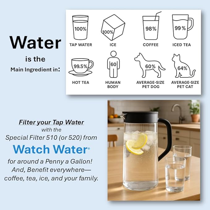 Special Filter 10in (SP 510-R) – Scale Prevention Cartridge – Removes Chlorine, Limescale, Odor – pH Balanced, No Sodium, No Phosphates – Coffee, Tea, Drinking Water Filter