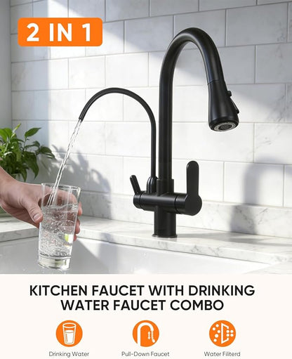 WANFAN Kitchen Sink Faucet with Pull Down Sprayer 2 Handle 3 in 1 Water Filter Purifier Faucets Black 0195R