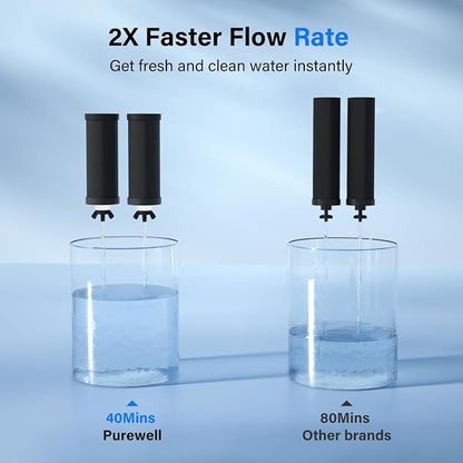 Purewell 8-Stage PF-3&FL-2 Purification Elements Set, Replacement Filters for ProOne® and Berlkey® Filters, ProOne® Big+ or Berlkey® Big+ Water Filter System and Purewell System (4 Pack, K Series)