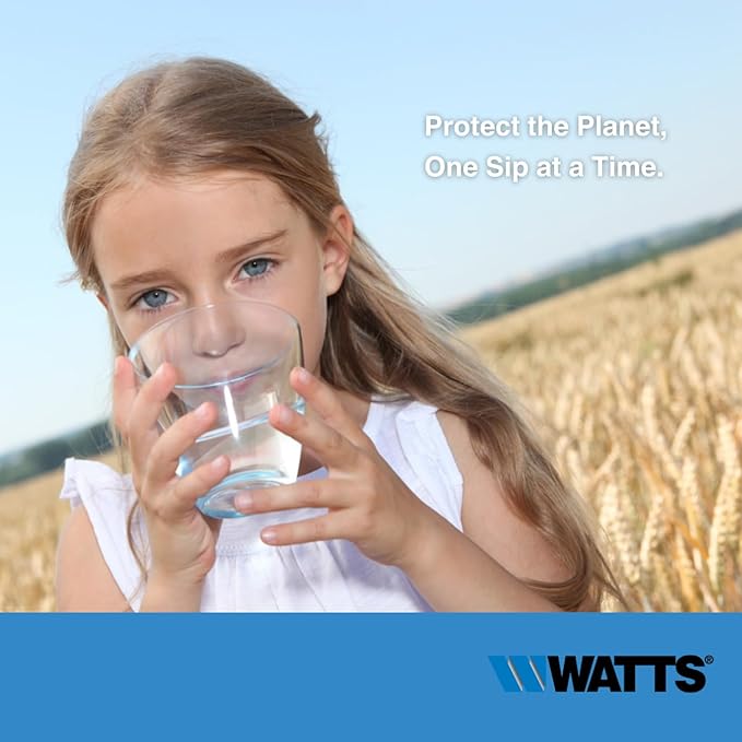 Watts (FP10GT in-Line Carbon Filter Cartridge (1201.11)