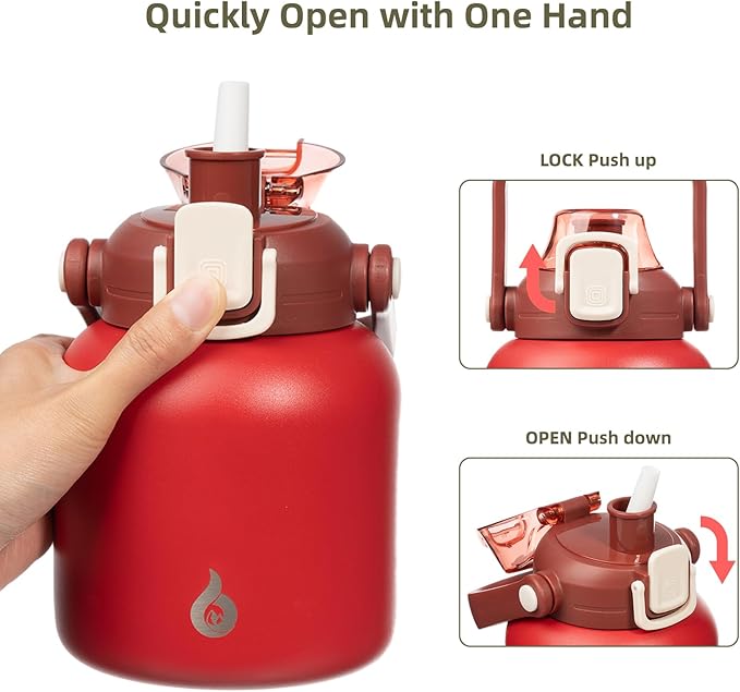 BJPKPK Insulated Water Bottles with Straw, 20 oz Cute Water Bottles with Handle, BPA Free Stainless Steel Metal Jug, Easy Carry Flasks for Men & Women, Red