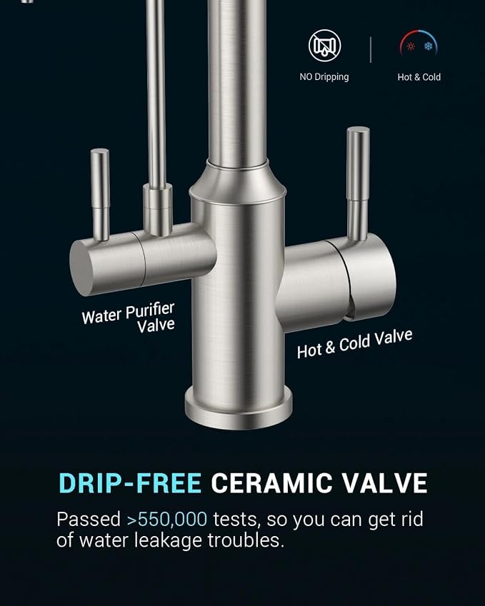 APPASO Kitchen Faucet with Water Filter, CUPC Certified Water Hose, Pull Out 3 Way Sink Faucets with Sprayer, High Arch 2 Handle Faucet - 2 in 1 Faucets Brushed Nickel, Without Filtration Device