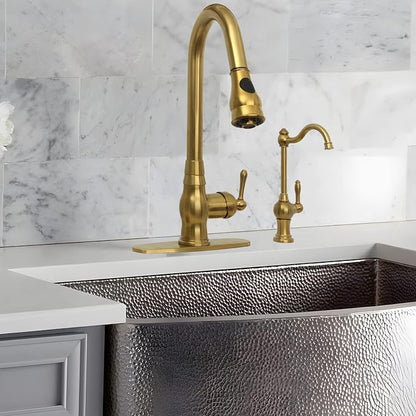Akicon Brass Body Kitchen Faucet - 100% Drinking Water, Fits Most RO Units or Filtration Systems, Non-Air Gap, Cold Water Only (Brushed Gold)