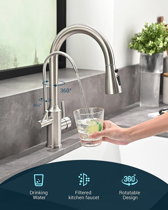 APPASO Kitchen Faucet with Water Filter, CUPC Certified Water Hose, Pull Out 3 Way Sink Faucets with Sprayer, High Arch 2 Handle Faucet - 2 in 1 Faucets Brushed Nickel, Without Filtration Device