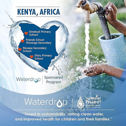 Waterdrop G3-N1CF Filter, Replacement for Waterdrop G3-W & G3P600 & G3P800 Reverse Osmosis System, 6-month Lifetime