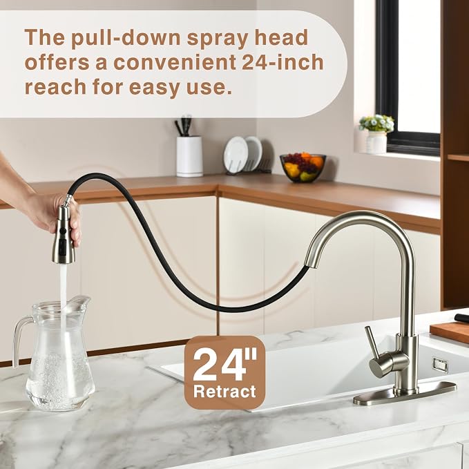 RULIA Kitchen Faucet, Pull-Down Sink Faucet with Free Water Filter, Brushed Nickel, PB1020