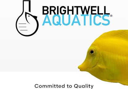 Brightwell Aquatics Florin-Fe Iron Supplement for Planted Aquariums – Dual-Action Iron Source for Plant Growth, Chlorophyll & Vibrant Foliage – Daily Dosing, 20L