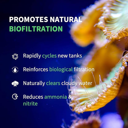 Saltwater Complete – Live Nitrifying Bacteria Blend for Saltwater & Reef Aquariums - Instant Cycle Marine Tank Starter - Removes Ammonia Nitrite - Clarifier - Safe for Fish Coral Invertebrates - 12oz